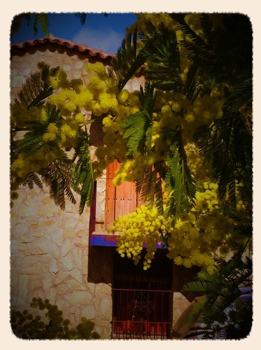 Finca de alojamiento rural, situada en Galaroza. Alojamientos #Viriñuela y #Quinqué,     http://t.co/f376cmwp