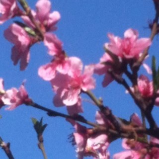 InfinitumGlass's profile picture. artist, designer, student of life