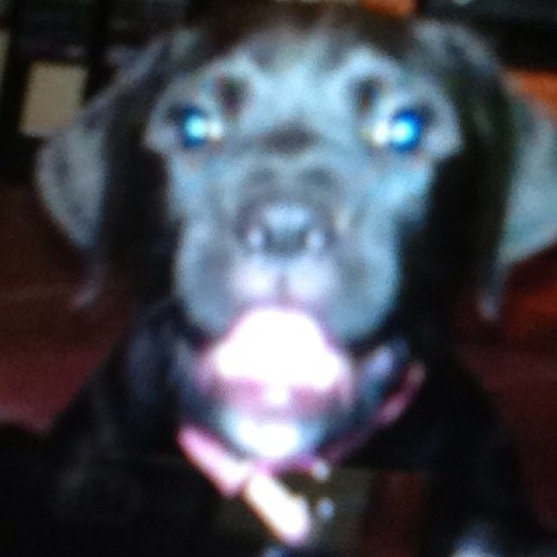 JorgeMarrero8's profile picture. 