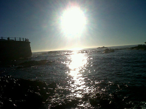 Roshney