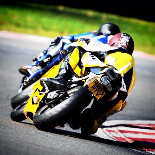 typerga's profile picture. 