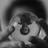 shotwinking's profile image