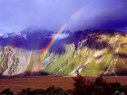 54726942's profile picture. 