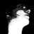SuHD2020's profile image