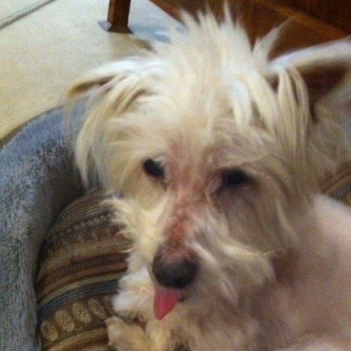 SanJT11's profile picture. 