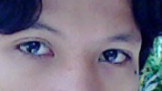 Newbe