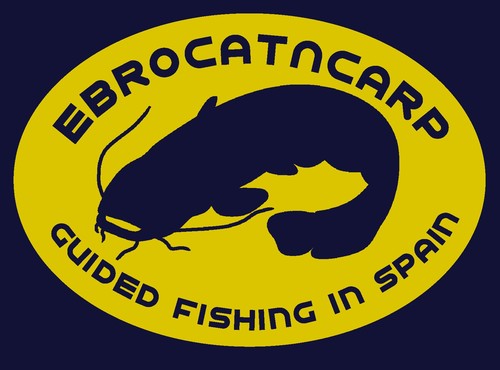 For very best fully guided carp and cat fishing holidays on the River Ebro in Spain.