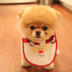 이호정 (@0537lhj) Twitter