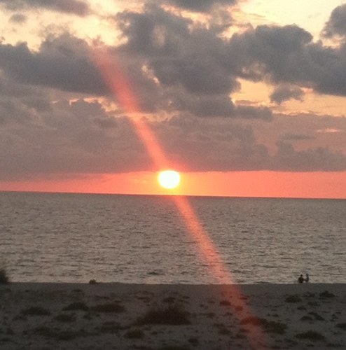 gjones714's profile picture. sales