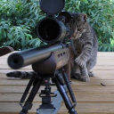 nukonukoo's profile picture. ぬこ（発達障害持ち）です。某地方国立大で電気電子工学勉強してましたが、発達障害と診断られて現在休学中。でも勉強は続けます。のんびりつぶやいていくのでフォローしてくれると嬉しいです。