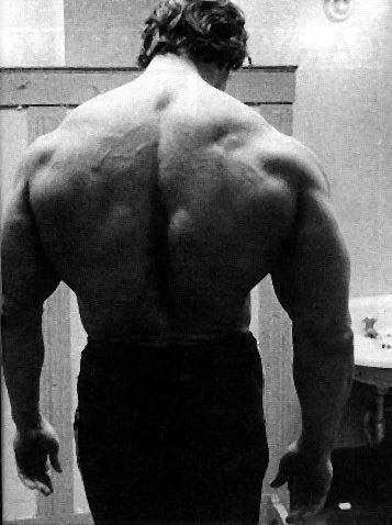 Acredite, voce é capaz! No pain no gain!