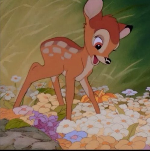 BambisOhanna's profile picture. see me and my ohanna on YouTube called Bambi's Ohanna