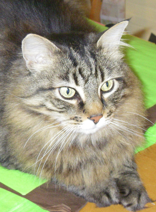 SummerHouseOBX's profile picture. An Old General Store with a Modern Twist.  Located in Downtown Grandy on the way to the Sunny Outer Banks