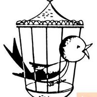 Amy Lynch (@b4thebell) 's Twitter Profile