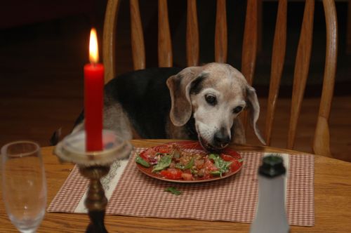 DavidBarstow2's profile picture. unmanned vehicles and NextGen centric