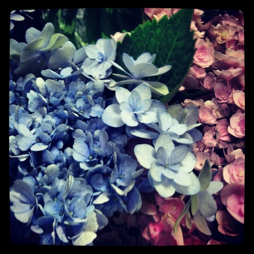 eiffeltower91's profile picture. 