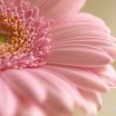 Liz Marin - @marinliz1 - Twitter