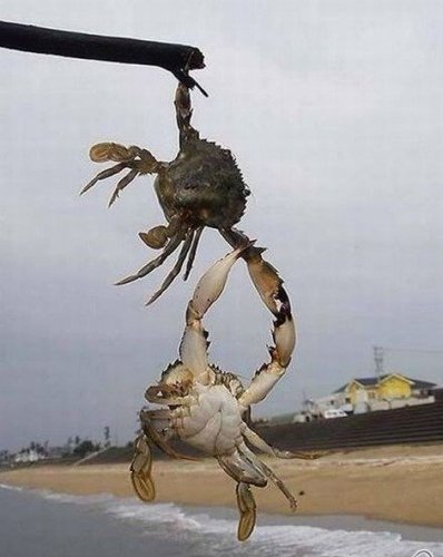 逆流而上