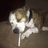 mark burrow (@markburrow444) Twitter profile photo