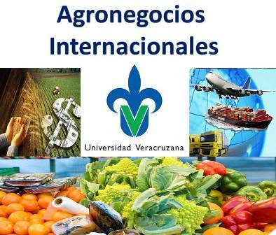 Twitter oficial de la Licenciatura en Agronegocios Internacionales adscrita a la FCBA Campus Tuxpan de la Universidad Veracruzana