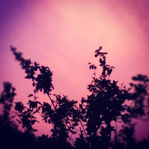 OnTheTop7's profile picture. Be simple, that's what make you more beautiful ♡.Queen of July {17-july}♡