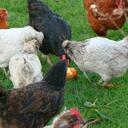 Jo Hooper - @JoHooper - Twitter