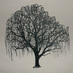 Tami Beto (@mrs_everwood) Twitter profile photo