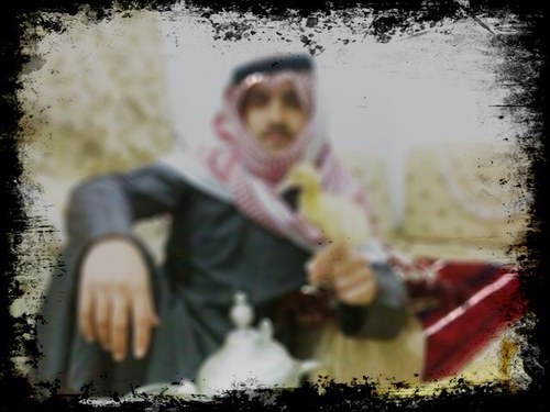 aboahmad1212's profile picture. كيك:Fahad_ja