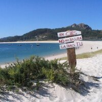 Alex (@alexceltavigo) 's Twitter Profile