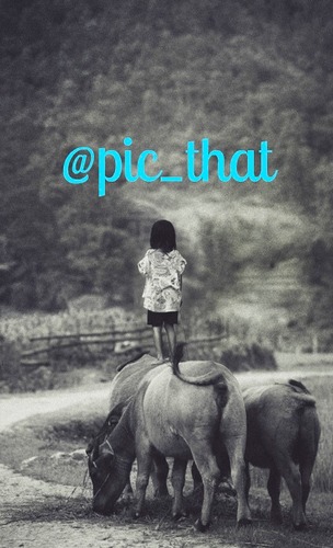 pic_that's profile picture. Everyday we tweet CHALLENGES, take the most beautiful PICTURE of it and win a challenge. We'll RETWEET and FAVORITE the best picture!