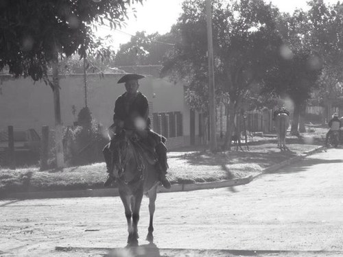 ignaciozpiroz's profile picture. 