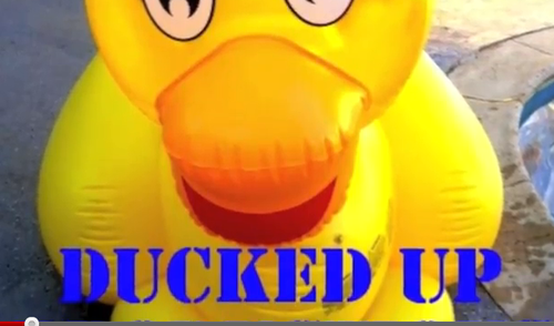 DuckedUp1's profile picture. Constantly Pranking Eachother! Check out our Pranks! http://t.co/SAPtsOTtlO