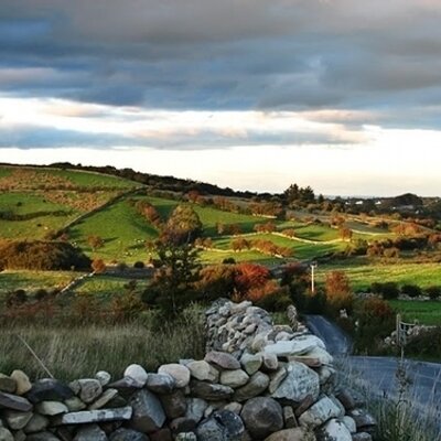 Irish_Euphemism's profile image
