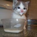 Cathy Newton - @catnewt - Twitter