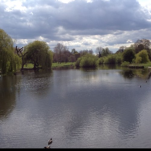 elliecompo's profile picture. 