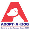 Nonprofit animal shelter in Westchester County, NY. Visit https://t.co/9Pkvh8Cdu5 for more information about our dogs available for adoption