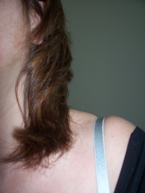 ElisaB Profile