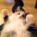 Sarah Plunkett - @plunkett_sarah - Twitter