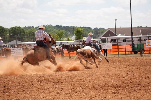 mgentry01's profile picture. 