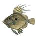 Bacash Restaurant (@bacashrestauran) Twitter profile photo