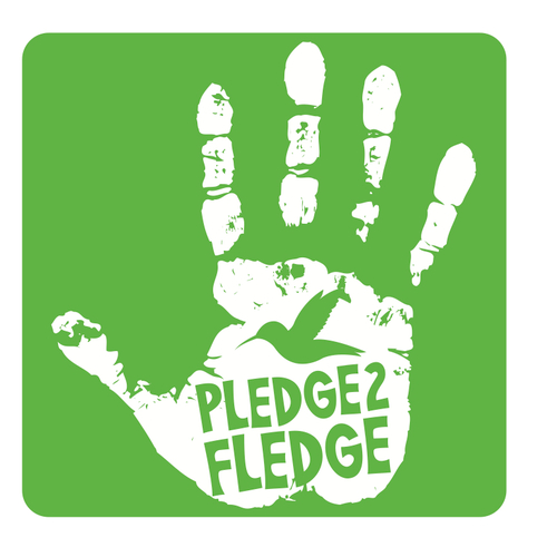 The Pledge to Fledge℠ (P2F) Campaign challenges birders of every interest and skill level to share their passion for birds with others.