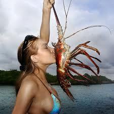 If you love freebies, samples and discounts like me you will love http://t.co/0Pjlj1VBUM