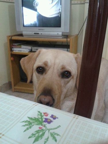 gracielacools's profile picture. 