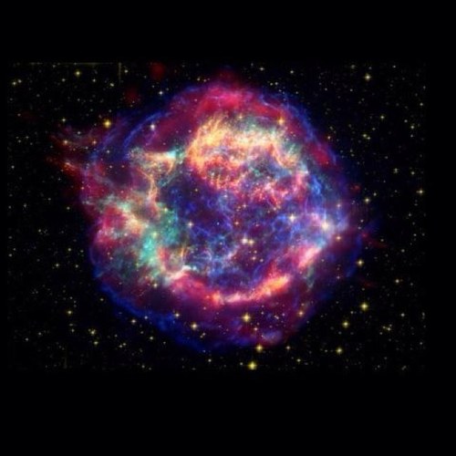 AngeloOpenlink's profile picture. 