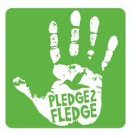 Pledge To Fledge(@GlobalBirding) 's Twitter Profileg