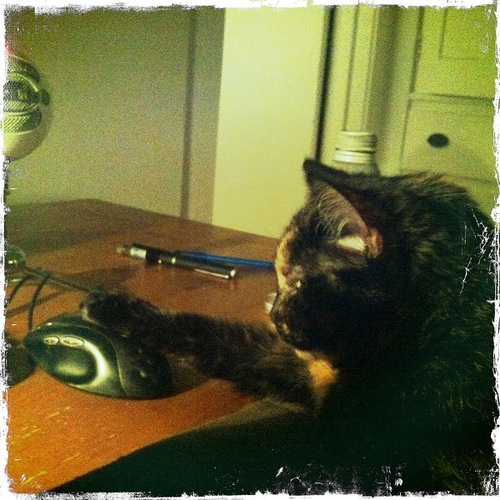 andrewwick's profile picture. Jaded Theologian, Social Critic, Skeptic, Digital De-constructionist, Natural Born Hacker, Generally Disgusted #MAGA #WWG1WGA