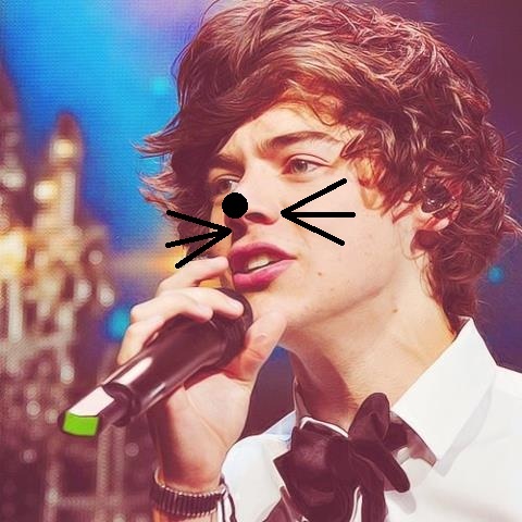 Amor sem fim pelo @onedirection .....voces são minha inspiração,meu mundo. ♥ Harry,Louis,Liam,Zayn e Niall♥... Sou brasileira, mas meu coração é britânico.♥