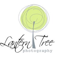 Lantern Tree(@LanTreePhoto) 's Twitter Profile Photo