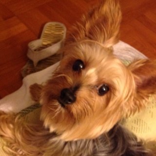 360WalkerHK's profile picture. 