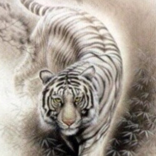 Noblesse_No1's profile picture. 